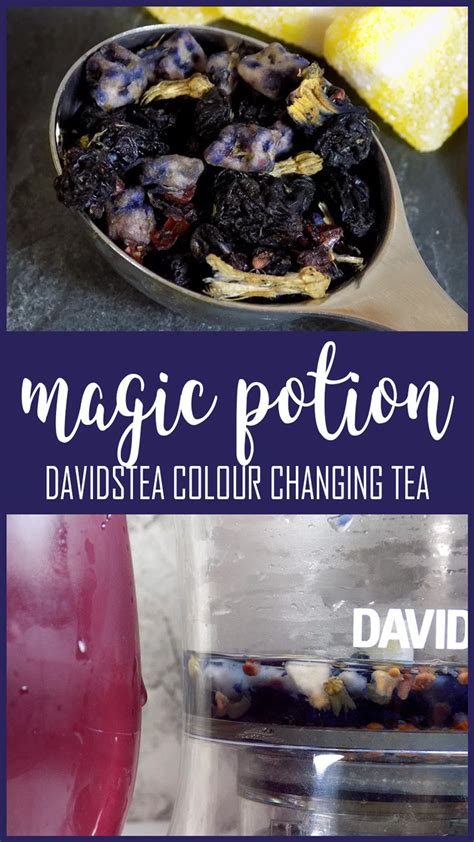 David's Tea Magic Potion: A Social Drink for Sharing with Friends